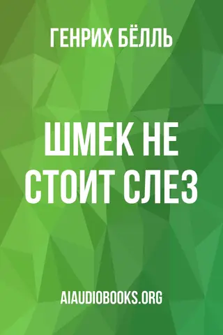 Обложка аудиокниги «Шмек не стоит слез»