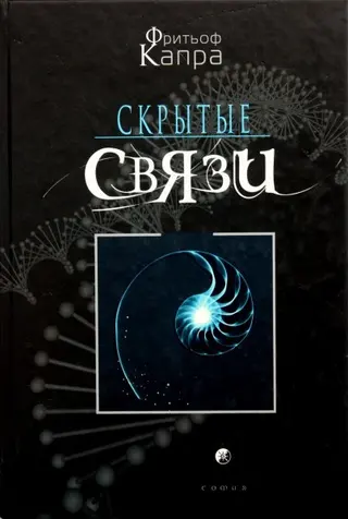 Обложка аудиокниги «Скрытые связи»