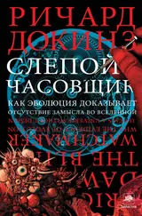 Обложка аудиокниги «Слепой часовщик. Как эволюция доказывает отсутствие замысла во Вселенной»