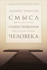 Обложка аудиокниги «Смысл существования человека. Куда мы идём и почему. Новое понимание эволюции»