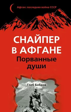 Обложка аудиокниги «Снайпер в Афгане. Порванные души»