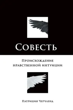 Обложка аудиокниги «Совесть. Происхождение нравственной интуиции»