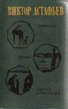Обложка аудиокниги «Стародуб»
