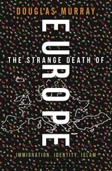 Обложка аудиокниги «Странная смерть Европы. Иммиграция, идентичность, ислам»