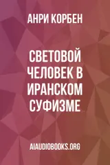 Обложка аудиокниги «Световой человек в иранском суфизме»
