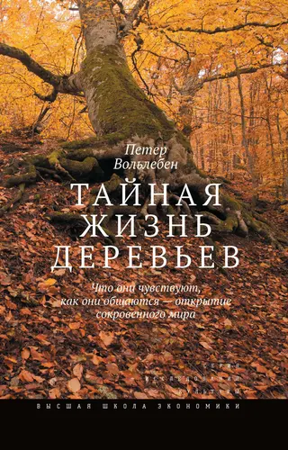 Обложка аудиокниги «Тайная жизнь деревьев. Что они чувствуют, как они общаются – открытие сокровенного мира»