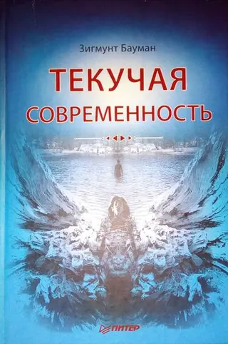 Обложка аудиокниги «Текучая современность»