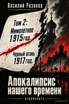 Обложка аудиокниги «Том 2: Мимолетное 1915год. Черный огонь 1917год. Апокалипсис нашего времени»