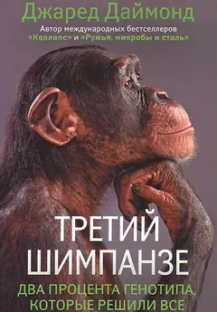 Обложка аудиокниги «Третий шимпанзе»