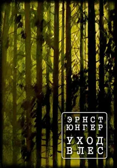 Обложка аудиокниги «Уход в лес»