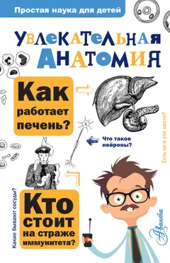 Обложка аудиокниги «Увлекательная анатомия»