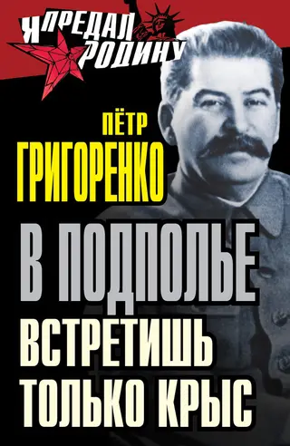 Обложка аудиокниги «В подполье встретишь только крыс»