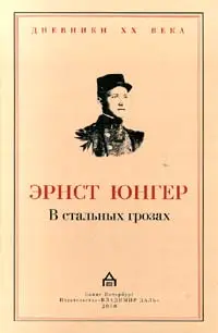Обложка аудиокниги «В стальных грозах»