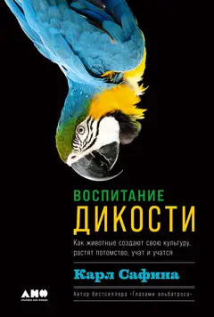 Обложка аудиокниги «Воспитание дикости. Как животные создают свою культуру, растят потомство, учат и учатся»
