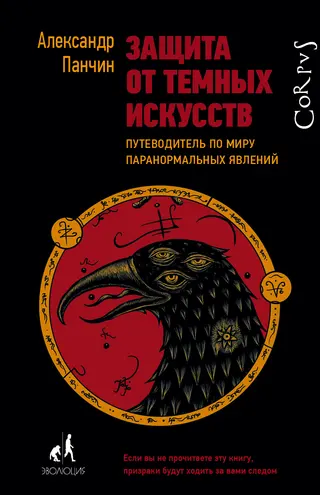Обложка аудиокниги «Защита от темных искусств. Путеводитель по миру паранормальных явлений»