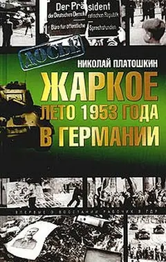 Обложка аудиокниги «Жаркое лето 1953 года в Германии»
