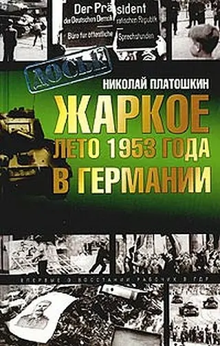 Обложка аудиокниги «Жаркое лето 1953 года в Германии»