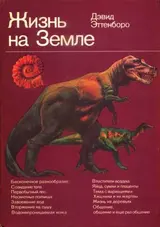 Обложка аудиокниги «Жизнь на Земле. Естественная история»