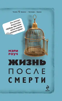 Обложка аудиокниги «Жизнь после смерти»